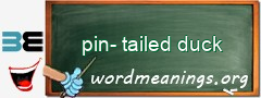 WordMeaning blackboard for pin-tailed duck